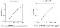 Human IL-12 p70 ELISA Kit RAB0252-1KT
