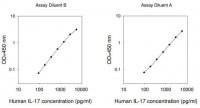 Human IL-17 ELISA Kit RAB0262-1KT