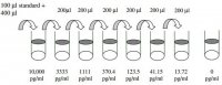 Human IL-17F ELISA Kit RAB0265-1KT