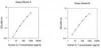 Human IL-7 ELISA Kit RAB0316-1KT