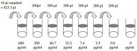 Human IL-8 / CXCL8 ELISA Kit RAB0319-1KT