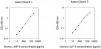 Human LIMP-II ELISA Kit RAB0421-1KT