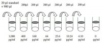 Human Lipocalin-2 / NGAL ELISA Kit RAB0332-1KT