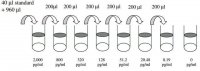 Human LYVE-1 ELISA Kit RAB0341-1KT