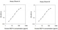 Human MCP-4 / CCL13 ELISA Kit RAB0045-1KT