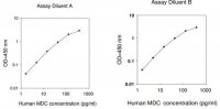 Human MDC / CCL22 ELISA Kit RAB0064-1KT
