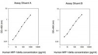 Human MIP-1 / CCL15 ELISA Kit RAB0048-1KT