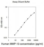 Human MMP-13 ELISA Kit RAB0364-1KT
