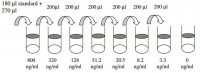 Human MMP-2 ELISA Kit RAB0365-1KT