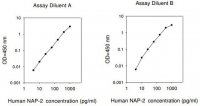 Human NAP-2 / CXCL7 ELISA Kit RAB0135-1KT