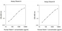 Human Notch-1 ELISA Kit RAB0384-1KT