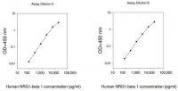 Human NRG1- 1 ELISA Kit RAB0388-1KT