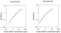 Human sICAM1 ELISA Kit RAB0219-1KT