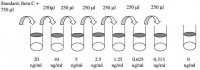 Human sICAM1 ELISA Kit RAB0219-1KT