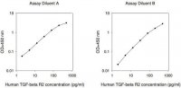 Human TGFBR2 / TGF-beta Receptor Type-2 ELISA Kit RAB0553-1KT