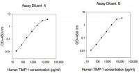 Human TIMP-1 ELISA Kit RAB0466-1KT