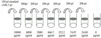 Human TIMP-1 ELISA Kit RAB0466-1KT