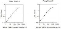 Human TIMP-2 ELISA Kit RAB0472-1KT