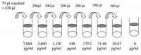 Human TIMP-4 ELISA Kit RAB0474-1KT
