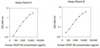 Human VEGF R2 ELISA Kit RAB0328-1KT