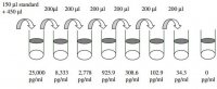 Human VEGF R2 ELISA Kit RAB0328-1KT
