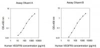 Human VEGF R3 ELISA Kit RAB0195-1KT