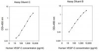 Human VEGF-C ELISA Kit RAB0513-1KT