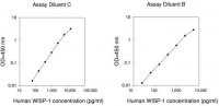 Human WISP-1 / CCN4 ELISA Kit RAB0514-1KT