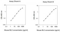 Mouse BLC / CCL13 ELISA Kit RAB0046-1KT