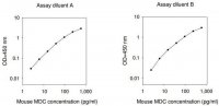Mouse Ccl22 / C-C Motif Chemokine 22 ELISA Kit RAB0563-1KT