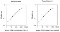 Mouse CD40 ELISA Kit RAB0086-1KT