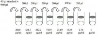 Mouse IL-1 ELISA Kit RAB0275-1KT