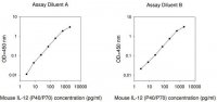 Mouse IL-12 P40/70 ELISA Kit RAB0255-1KT