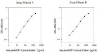 Mouse MCP-1 / CCL2 ELISA Kit RAB0055-1KT