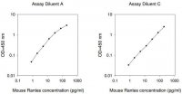Mouse RANTES / CCL5 ELISA Kit RAB0077-1KT