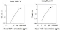 Mouse TIMP-1 ELISA Kit RAB0468-1KT
