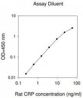Rat CRP/C-Reactive Protein ELISA Kit RAB0097-1KT
