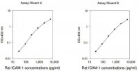 Rat ICAM-1 ELISA Kit RAB0221-1KT