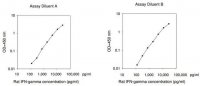 Rat IFN- ELISA Kit RAB0227-1KT