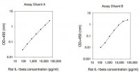 Rat IL-1 ELISA Kit RAB0277-1KT