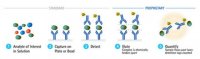 SMC™ Amyloid Beta 1-40 High Sensitivity Immunoassay Kit 3-0145-00