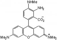 DAR-4M - Calbiochem 