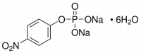 Phosphatase substrate P5994-25TAB