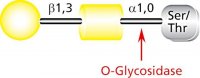 O-Glycosidase from Streptococcus pneumoniae 