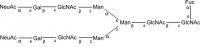 SILu�Carb Glycan Standard 13C Biantennary A2F 2xSial(Alpha-2,6) 