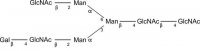 SILu�Carb Glycan Standard 13C Biantennary G1(3) 