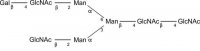 SILu�Carb Glycan Standard 13C Biantennary G1(6) 