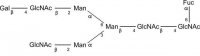 SILu�Carb Glycan Standard 13C Biantennary G1(6)F 