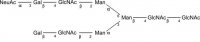 SILu�Carb Glycan Standard 13C Biantennary G2A1(6) Sial(Alpha-2,3) 