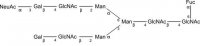 SILu�Carb Glycan Standard 13C Biantennary G2A1(6)F Sial(Alpha-2,3) 